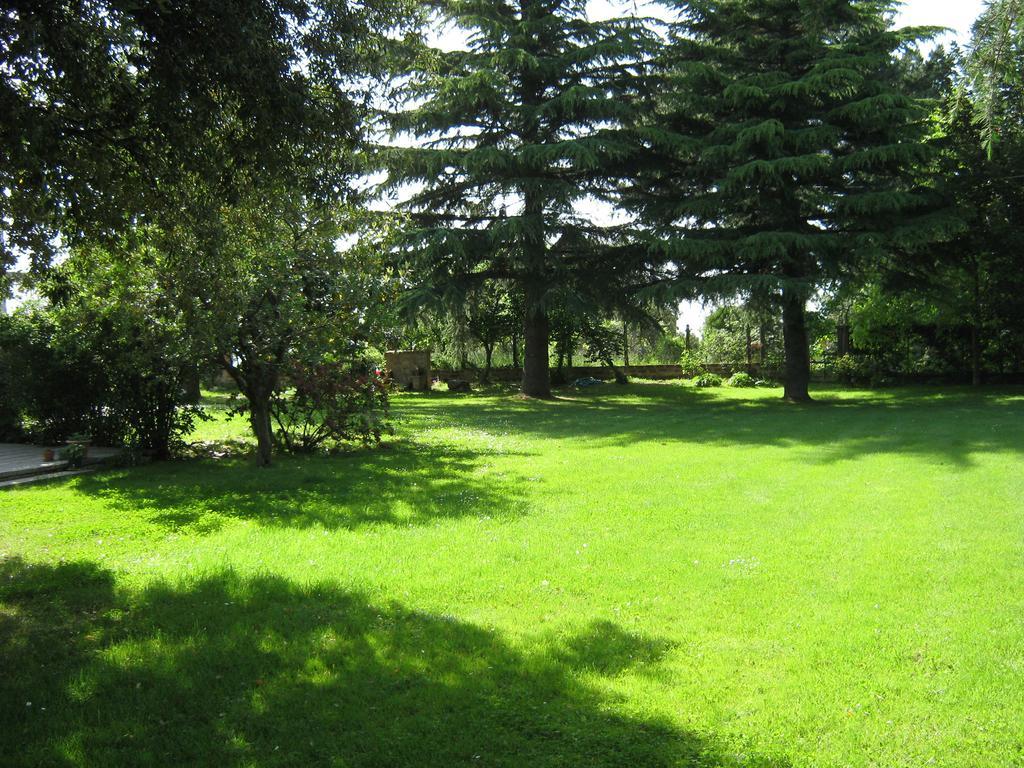 La Villa Di Lucia Витербо Номер фото
